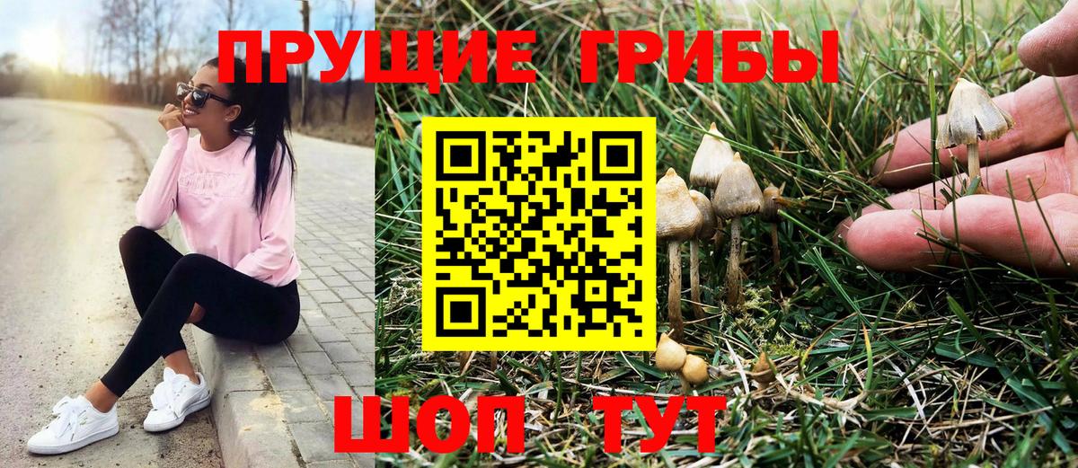 Псилоцибиновые грибы Psilocybe  Вход с VPN  Новочеркасск  Псилоцибиновые грибы MAGIC MUSHROOMS 