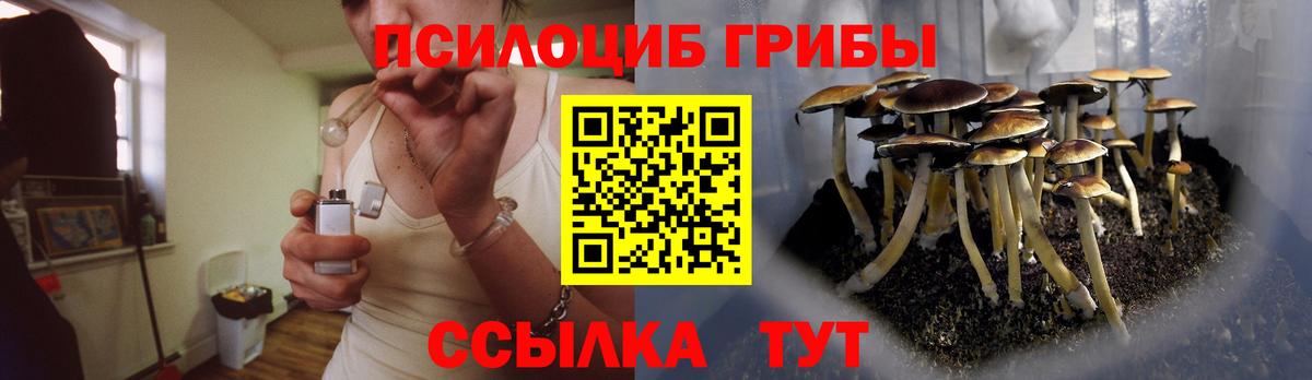 Галлюциногенные грибы мухоморы Новочеркасск